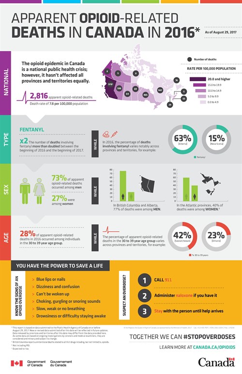 Opioids Infographic Eng